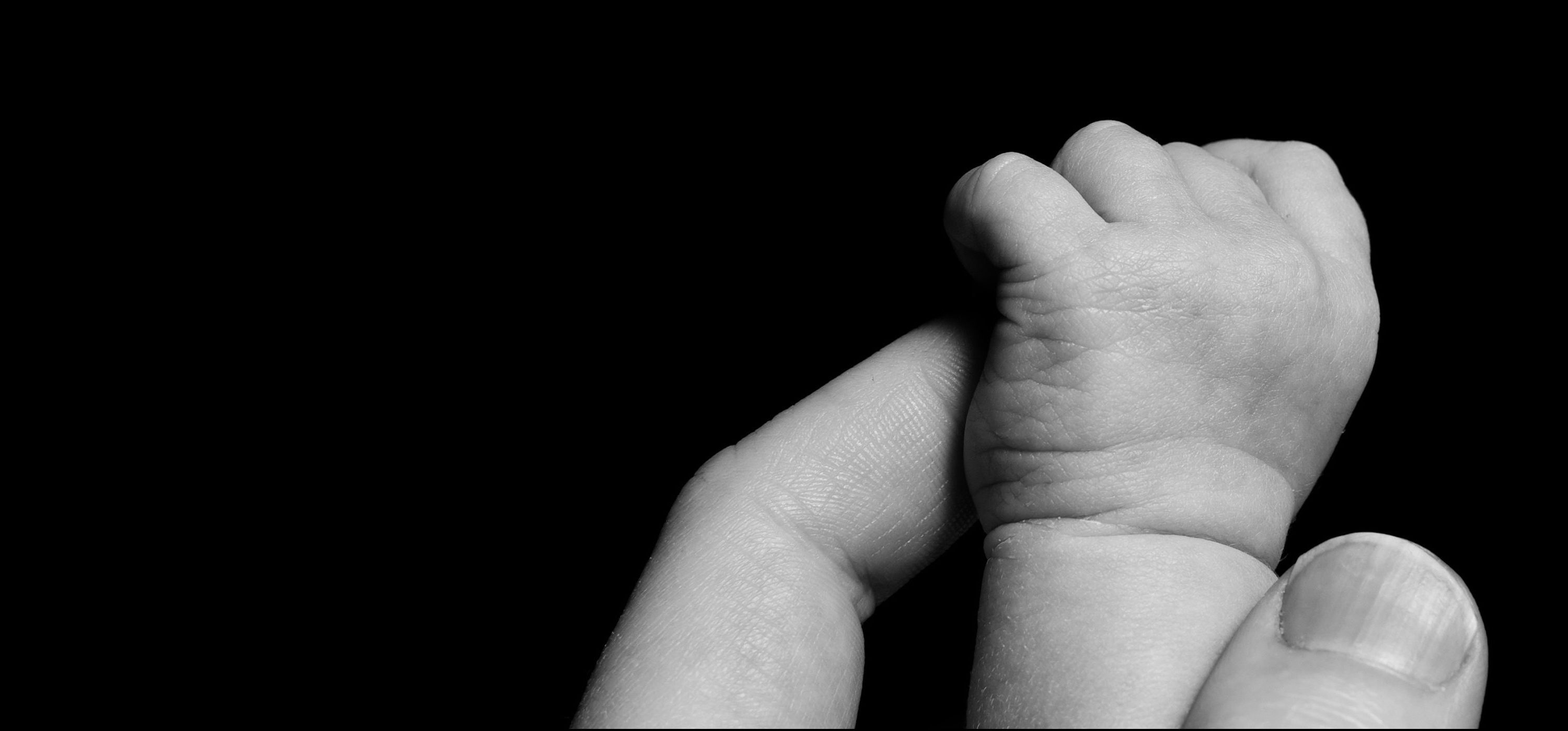 Hertz Schram, PC Estate Planning Attorneys in Detroit Financial